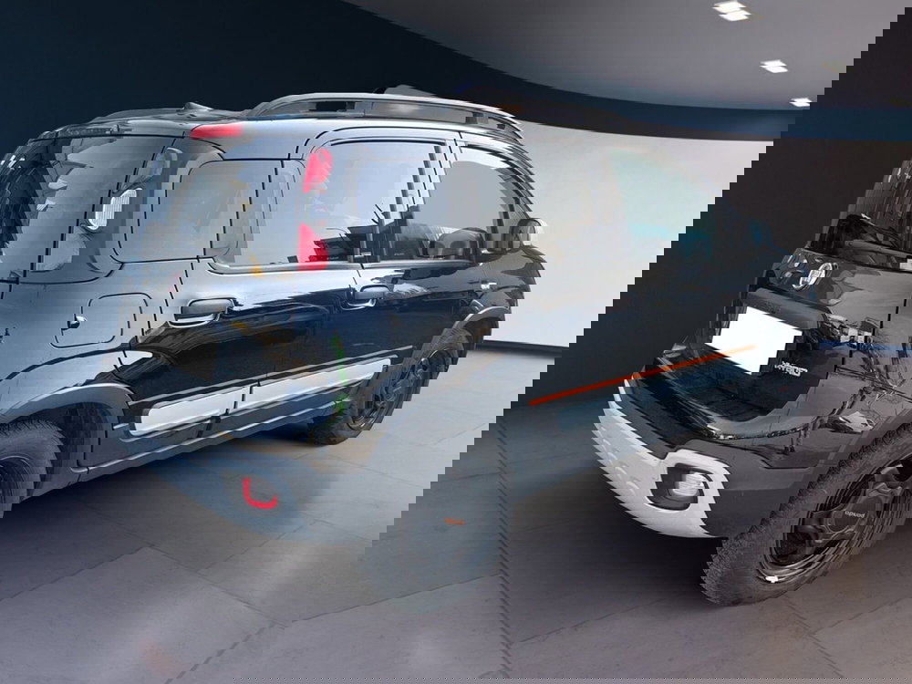 Fiat Panda Cross usata a Torino (6)