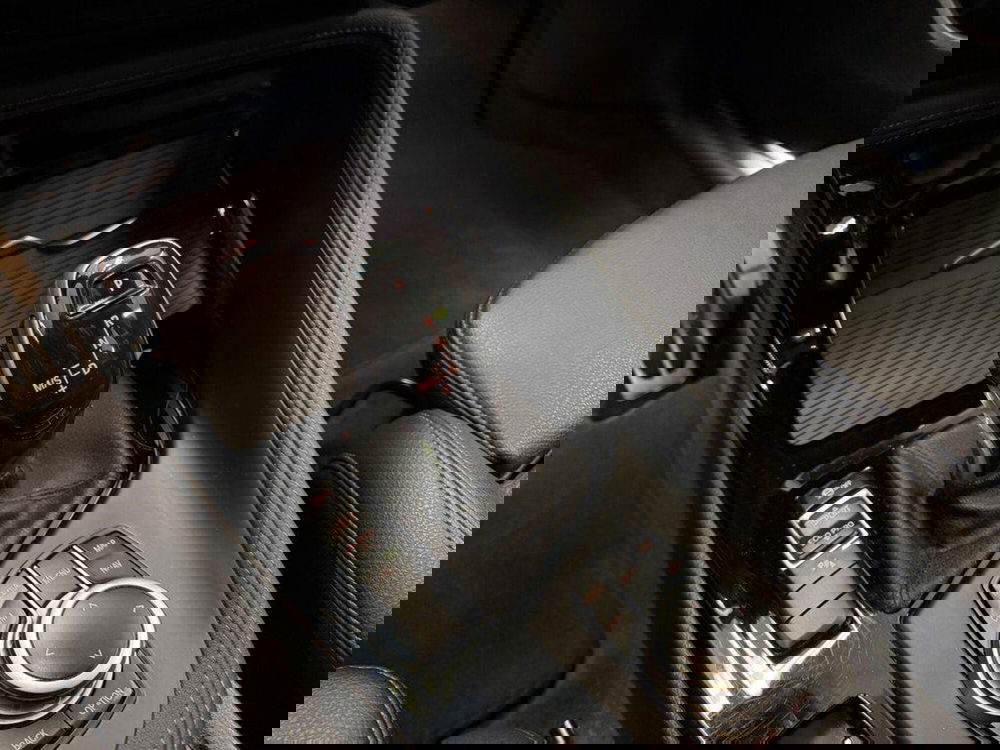 BMW X2 usata a Alessandria (10)