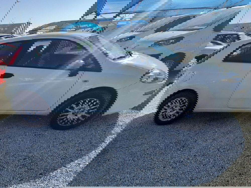 Fiat Punto usata a Cremona (4)