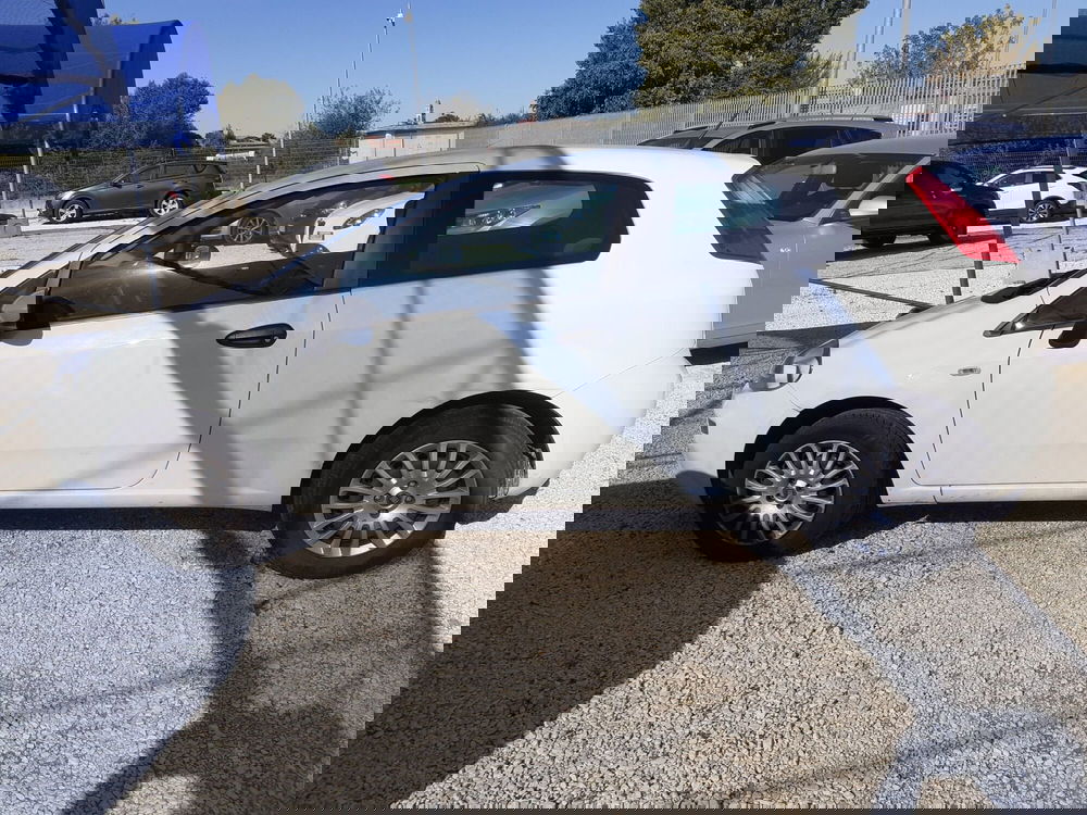 Fiat Punto usata a Cremona (5)