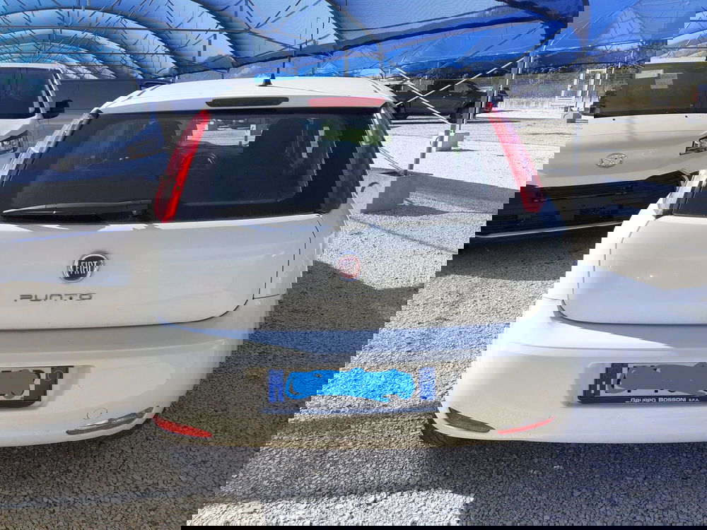 Fiat Punto usata a Cremona (6)