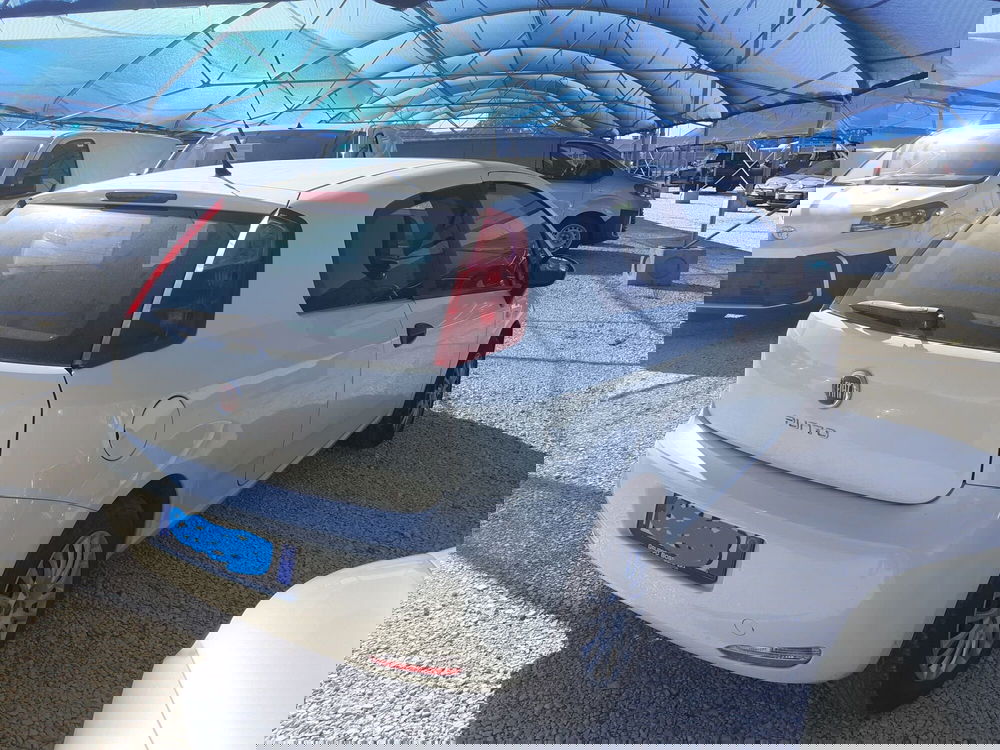 Fiat Punto usata a Cremona (8)