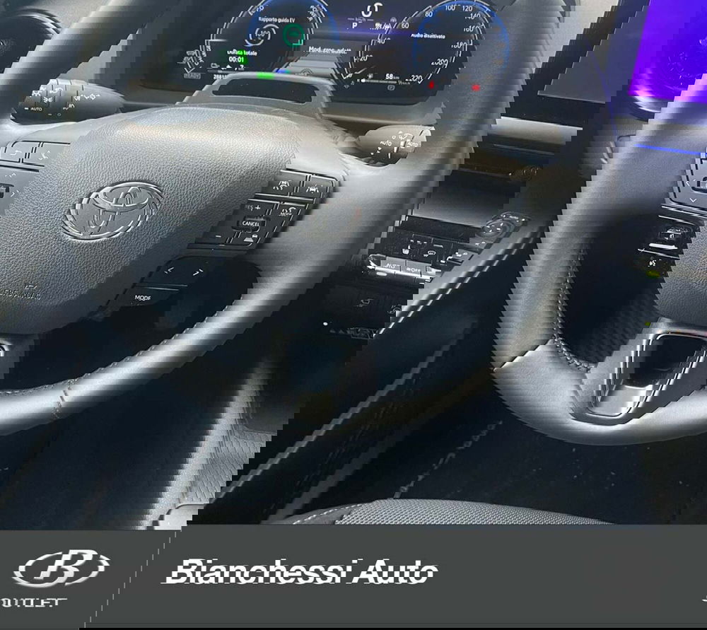 Toyota Toyota C-HR usata a Cremona (13)