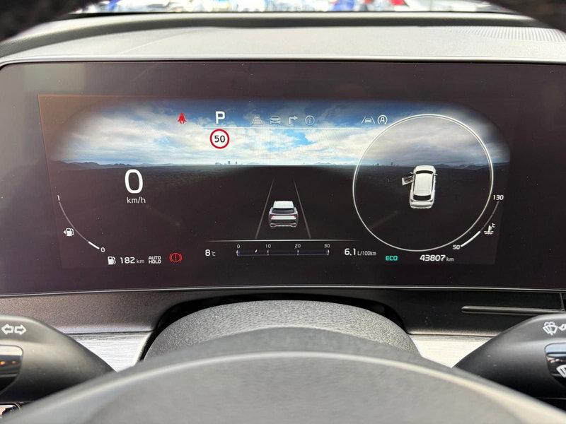 Kia Sportage usata a Cremona (10)