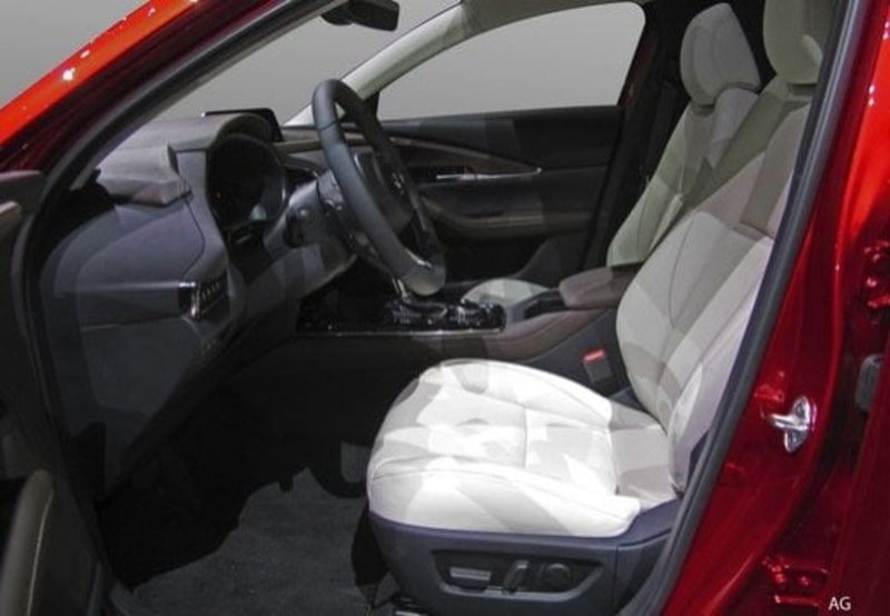 Mazda CX-30 usata a Reggio Emilia (12)