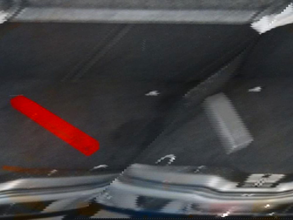 smart forfour usata a Genova (17)