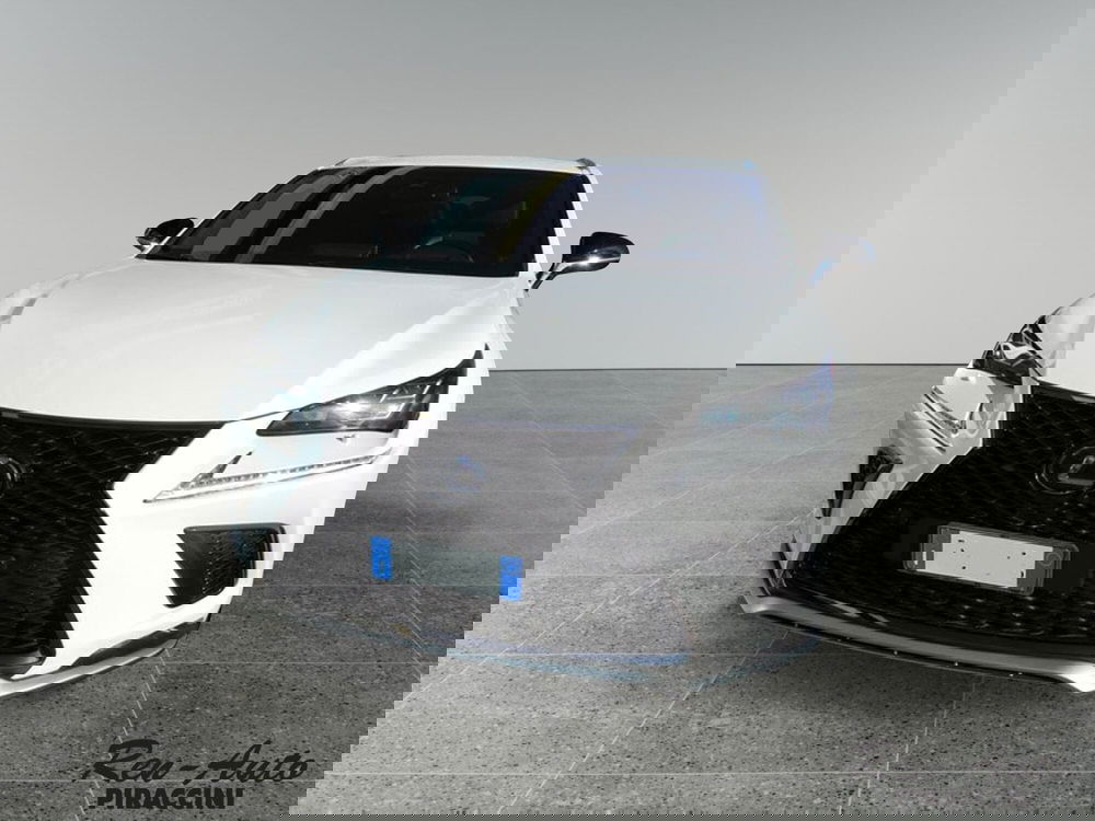 Lexus NX usata a Rimini (2)