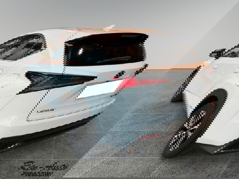 Lexus NX usata a Rimini (3)