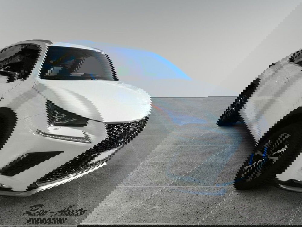 Lexus NX usata a Rimini (4)