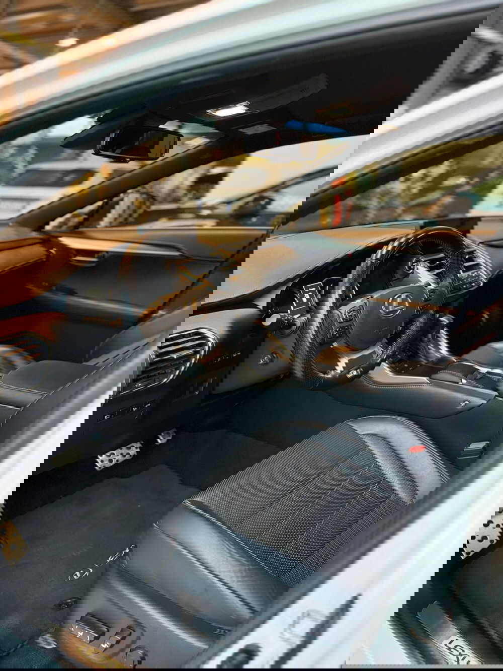 Lexus NX usata a Rimini (5)