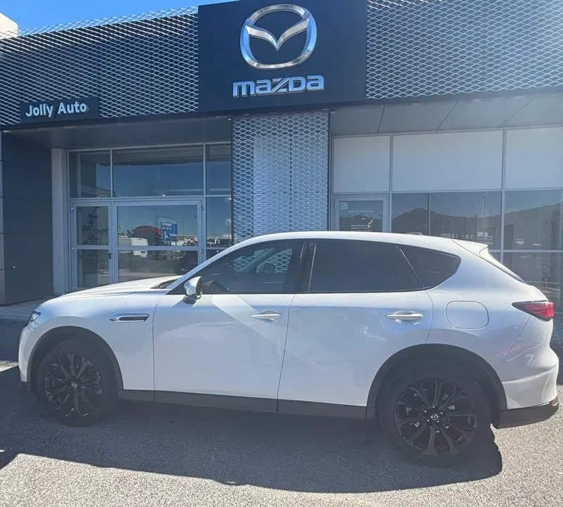 Mazda CX-60 usata a Frosinone (2)