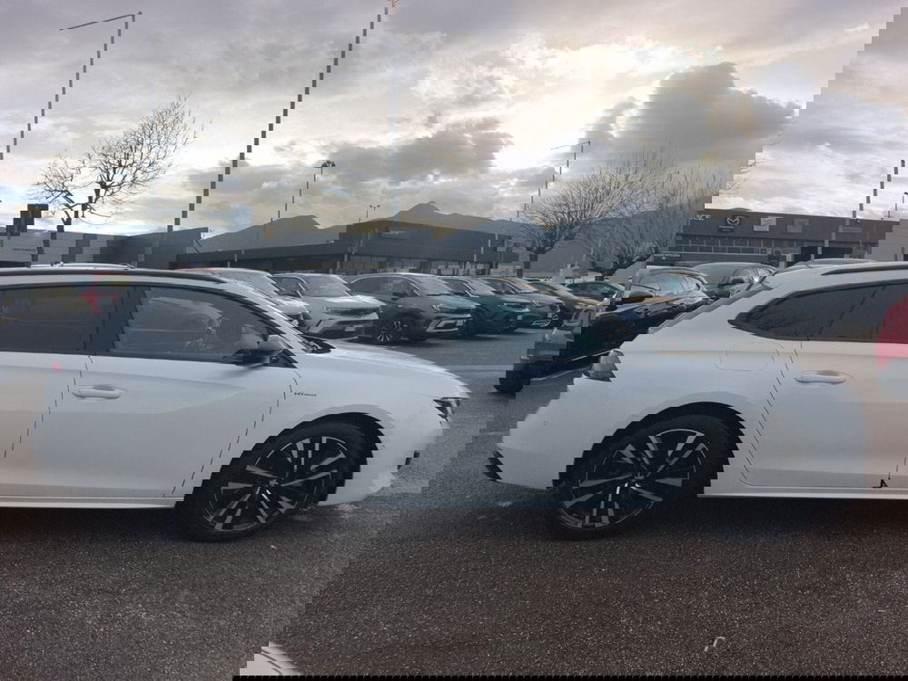 Peugeot 508 usata a Frosinone (7)