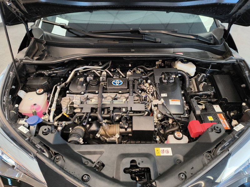 Toyota Toyota C-HR usata a Catanzaro (13)