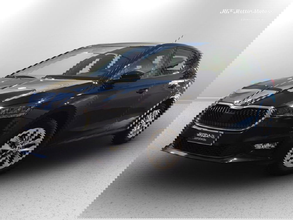 Skoda Fabia usata a Padova