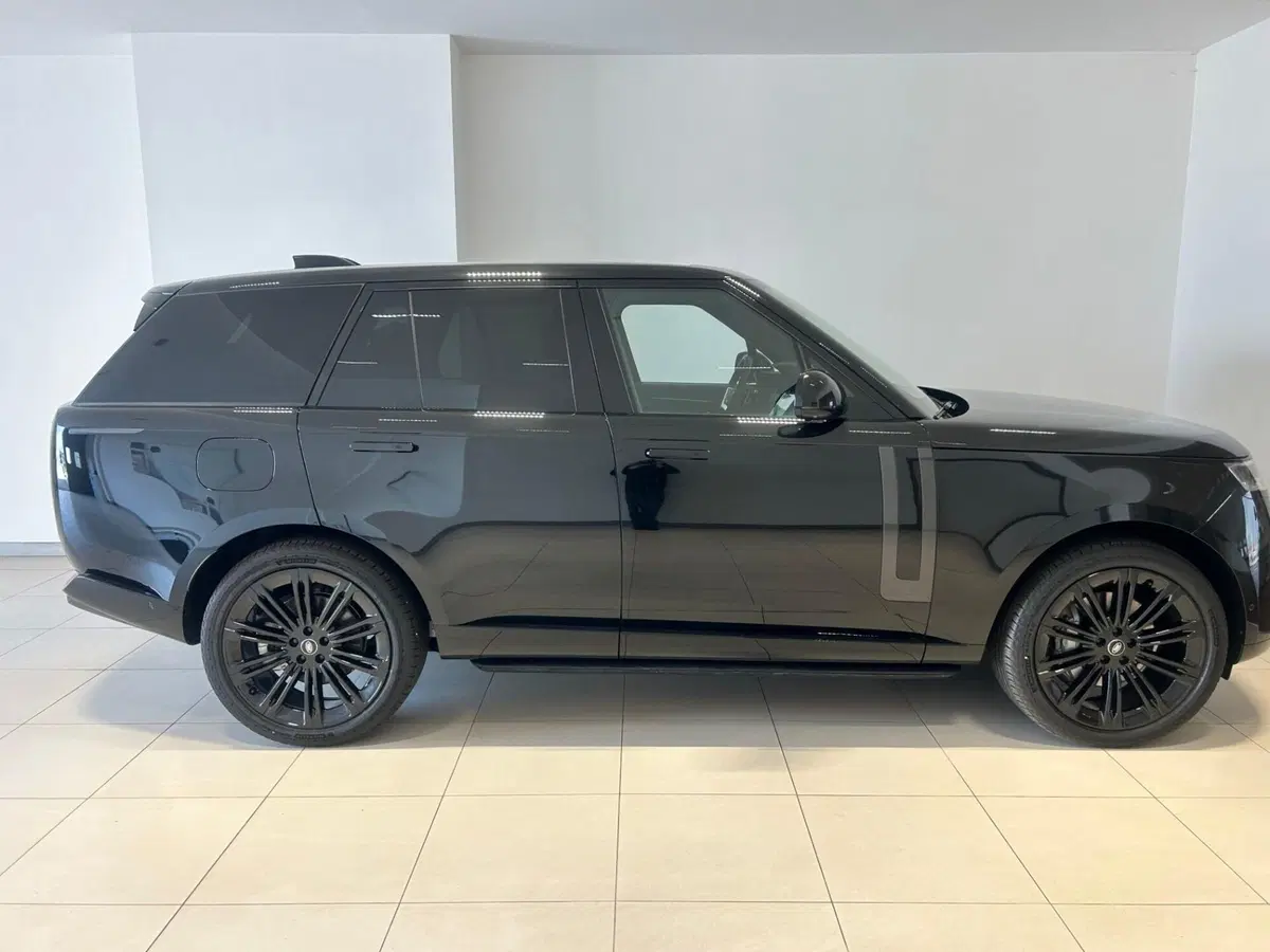 Land Rover Range Rover usata a Napoli (6)