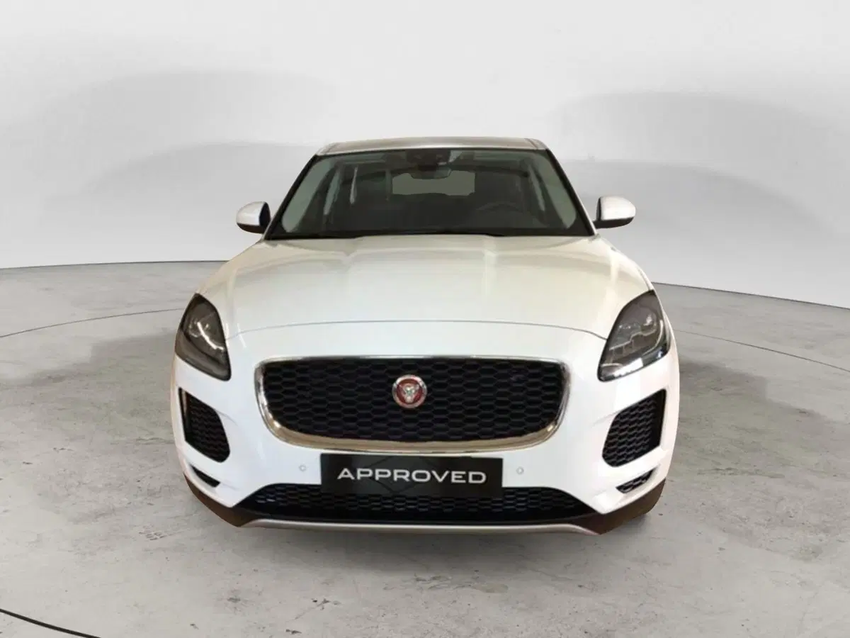 Jaguar E-Pace usata a Cosenza (6)