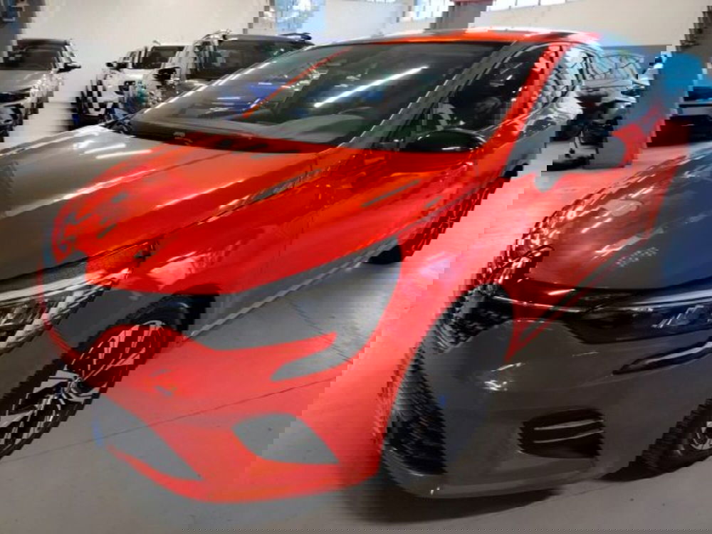 Renault Clio usata a Forlì-Cesena (10)