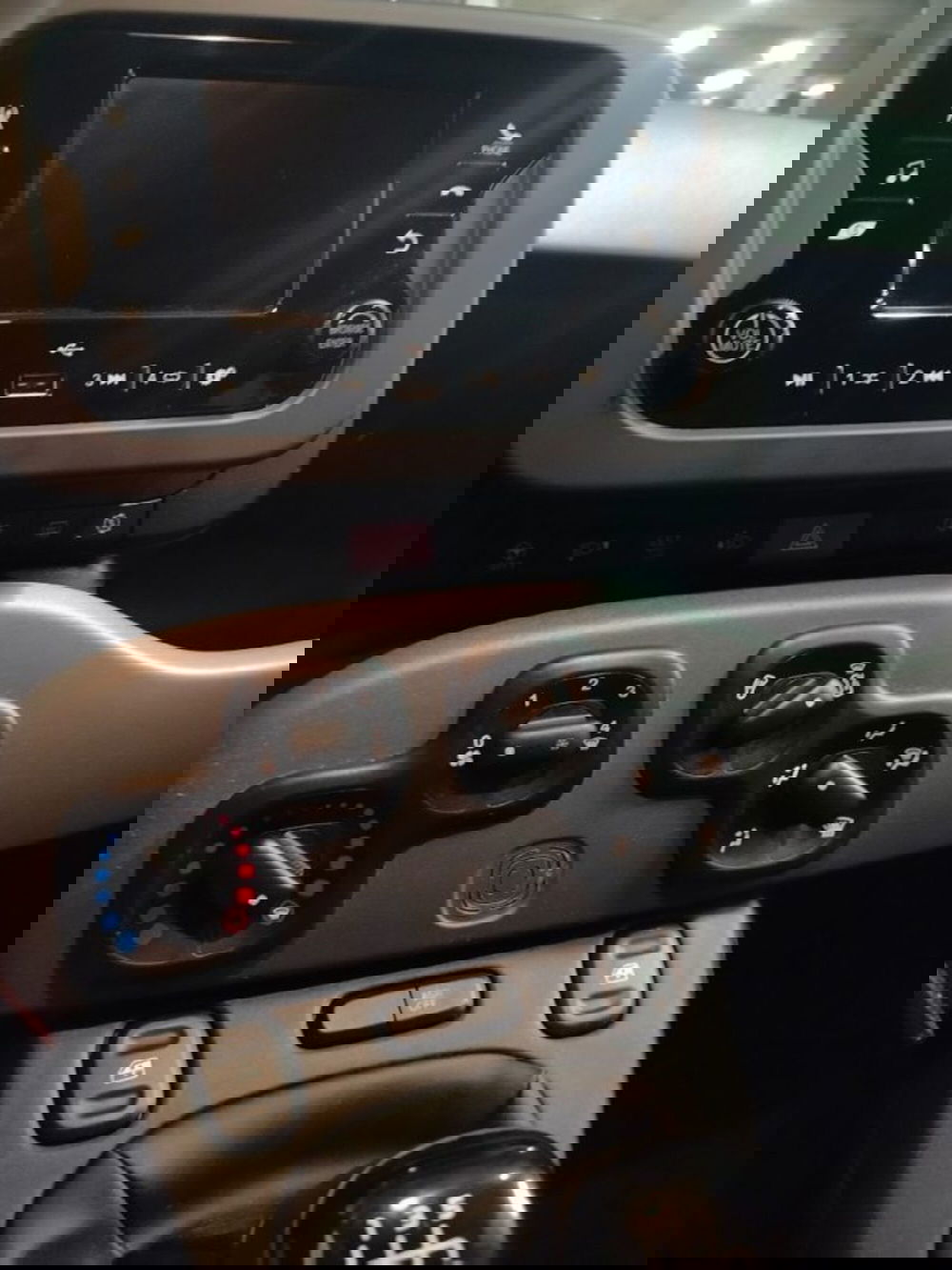 Fiat Panda usata a Forlì-Cesena (17)