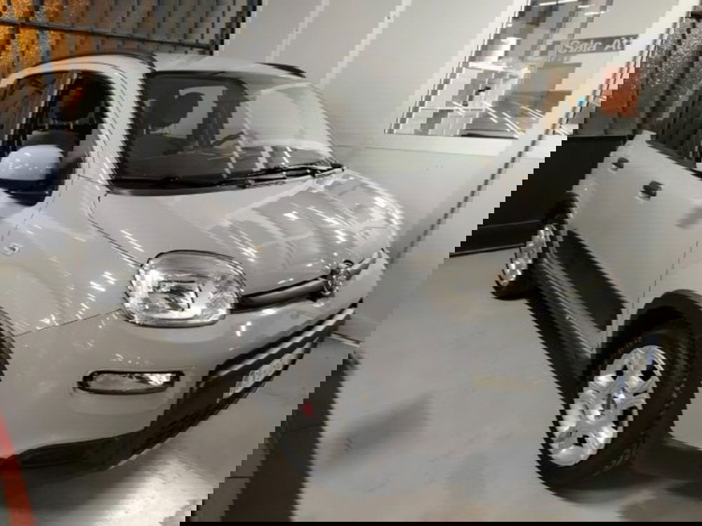 Fiat Panda usata a Forlì-Cesena (3)