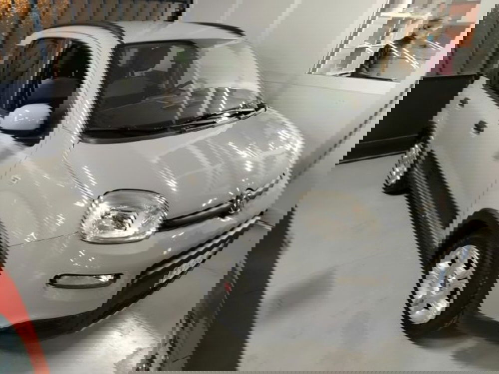 Fiat Panda usata a Forlì-Cesena (9)