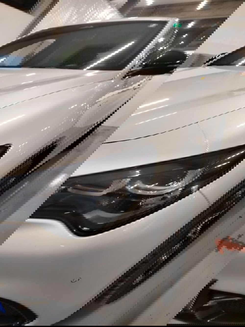 Alfa Romeo Stelvio usata a Forlì-Cesena (11)