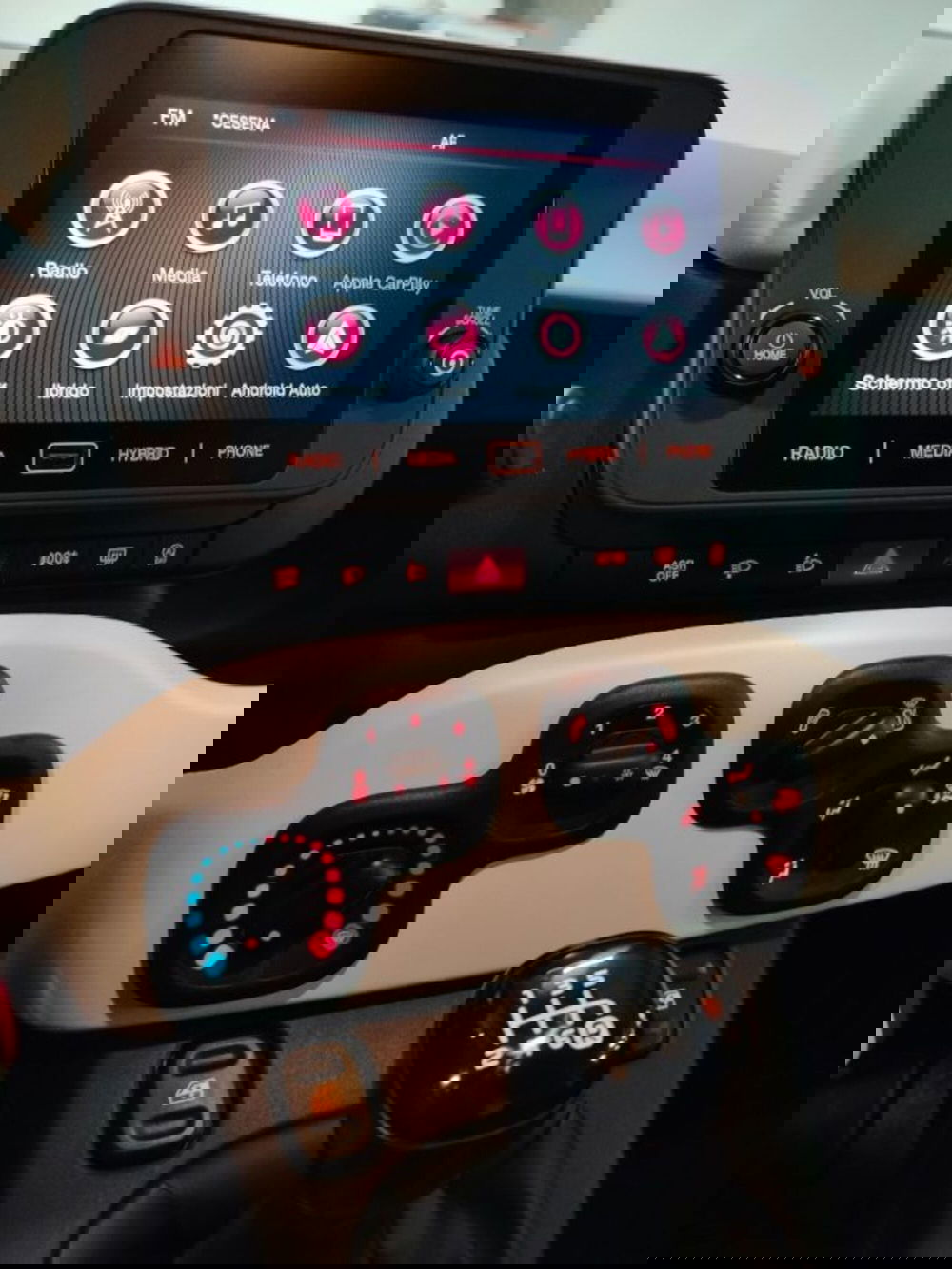 Fiat Panda usata a Forlì-Cesena (19)