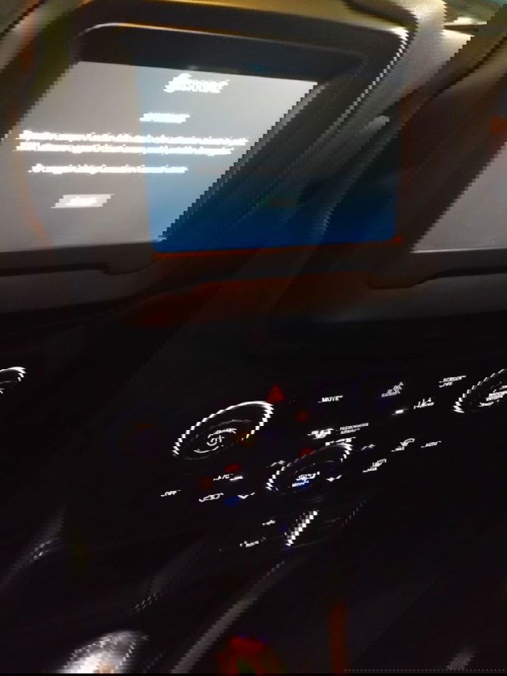 Jeep Renegade usata a Forlì-Cesena (18)