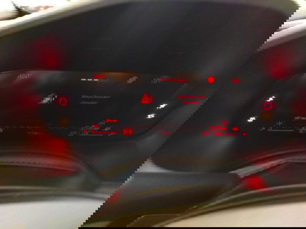 Jeep Renegade usata a Forlì-Cesena (14)