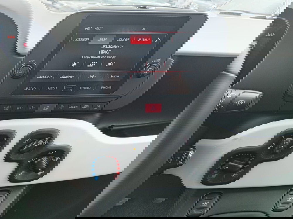 Fiat Panda Cross usata a Alessandria (14)