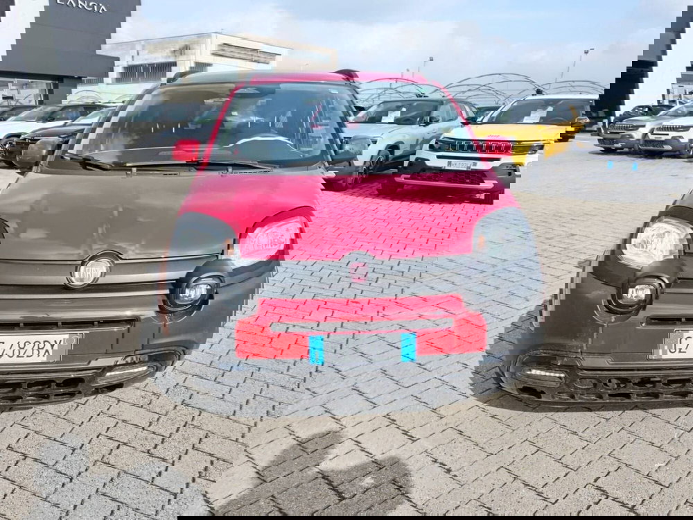 Fiat Panda Cross usata a Alessandria (2)