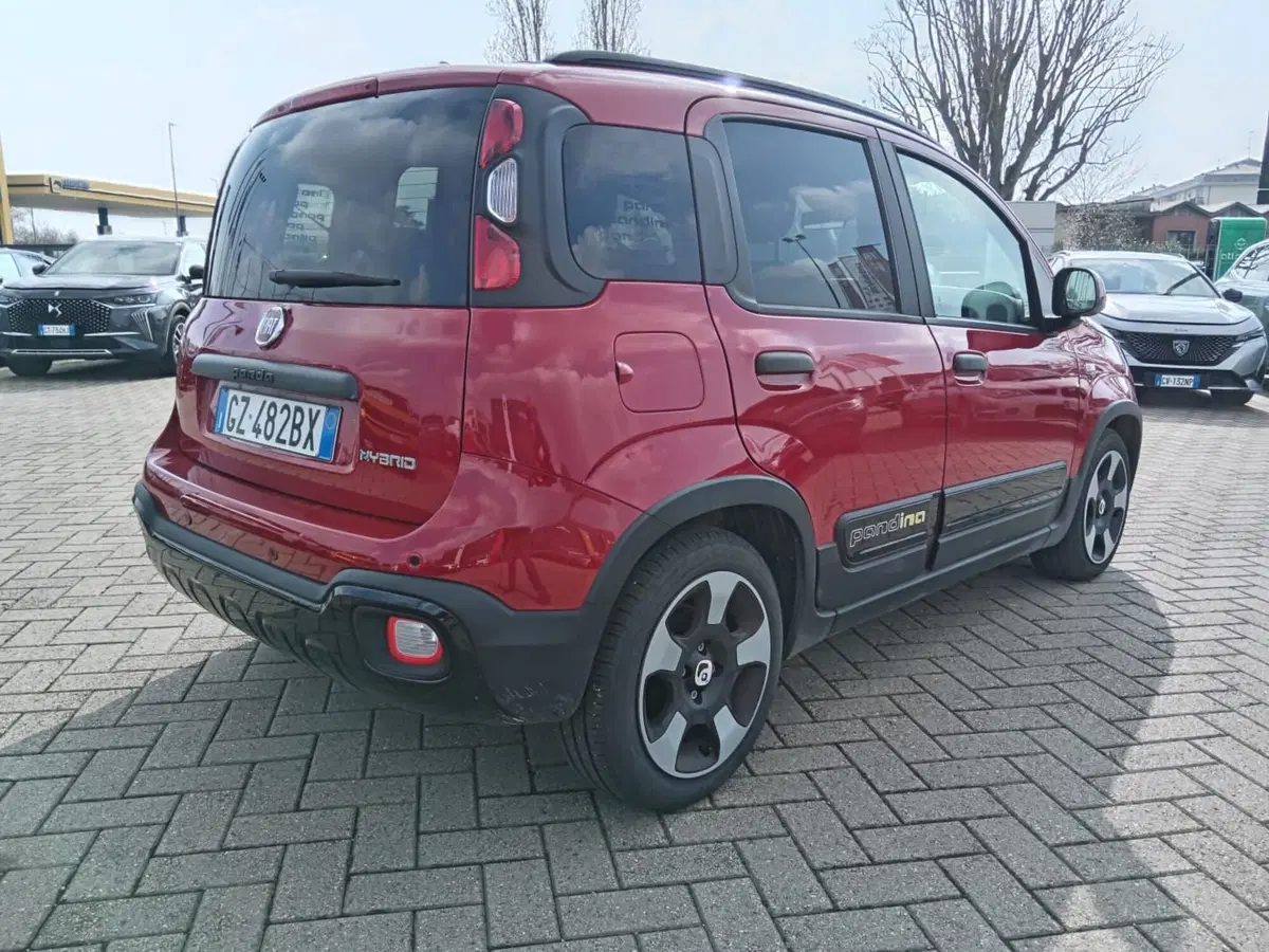 Fiat Panda Cross usata a Alessandria (5)