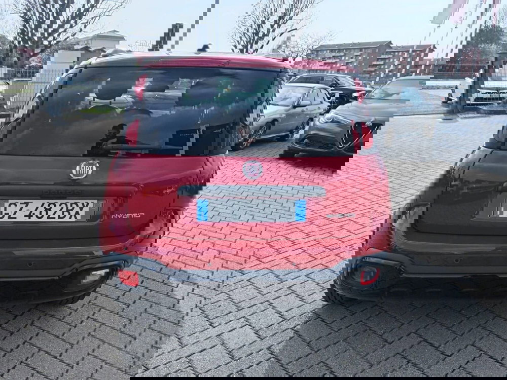 Fiat Panda Cross usata a Alessandria (6)