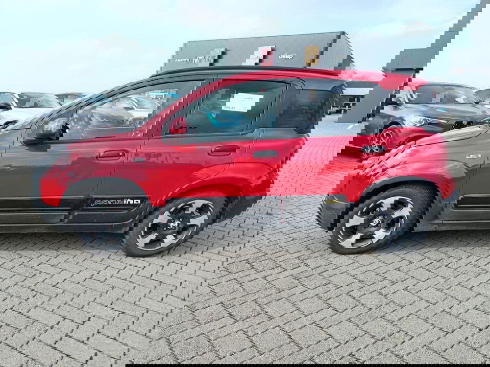 Fiat Panda Cross usata a Alessandria (8)