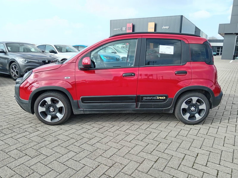 Fiat Panda Cross usata a Alessandria (8)