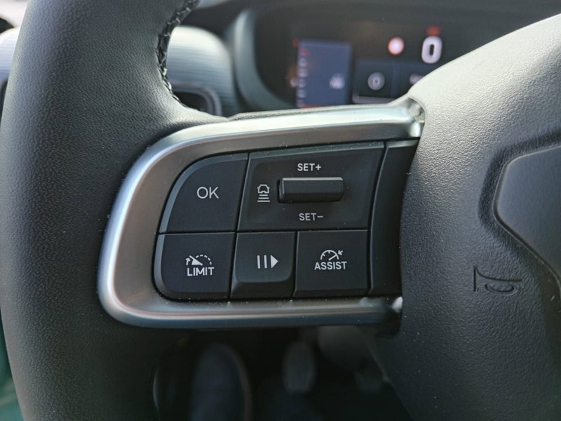 Jeep Avenger usata a Alessandria (19)