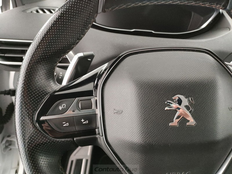Peugeot 3008 usata a Caserta (19)