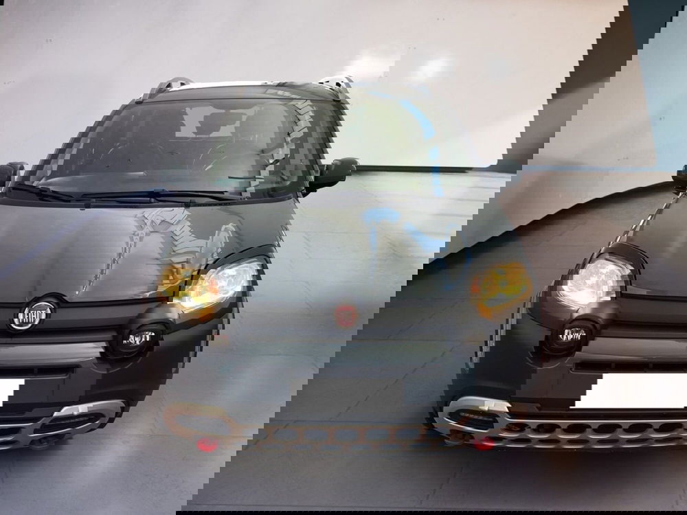 Fiat Panda Cross usata a Torino