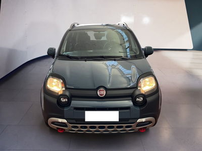 Fiat Panda Cross Cross 1.0 FireFly S&amp;S Hybrid del 2021 usata a Torino