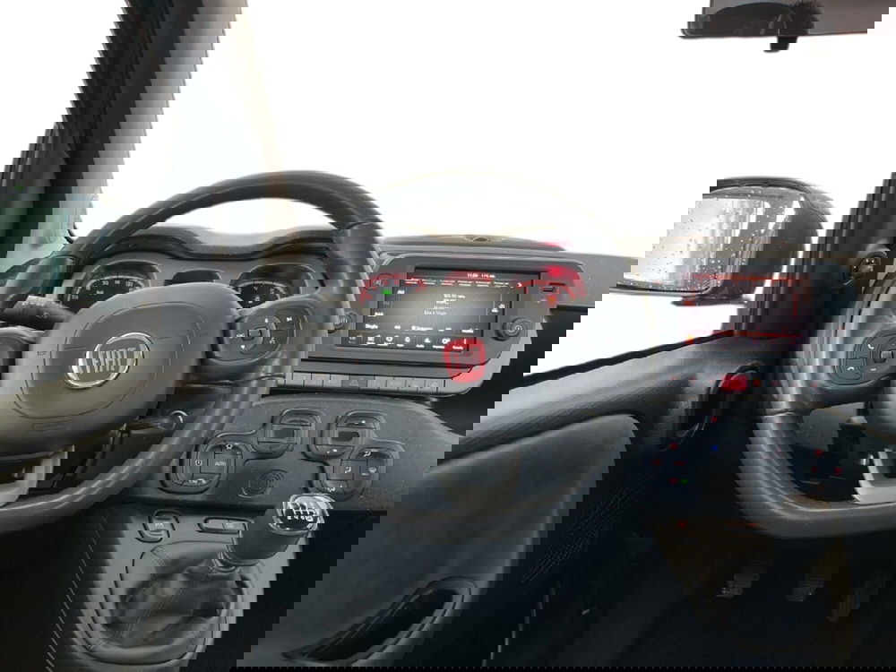 Fiat Panda Cross usata a Torino (11)