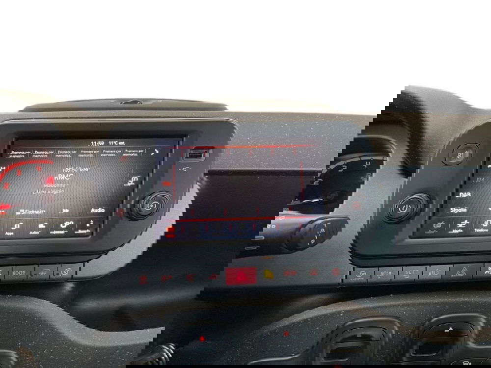 Fiat Panda Cross usata a Torino (13)