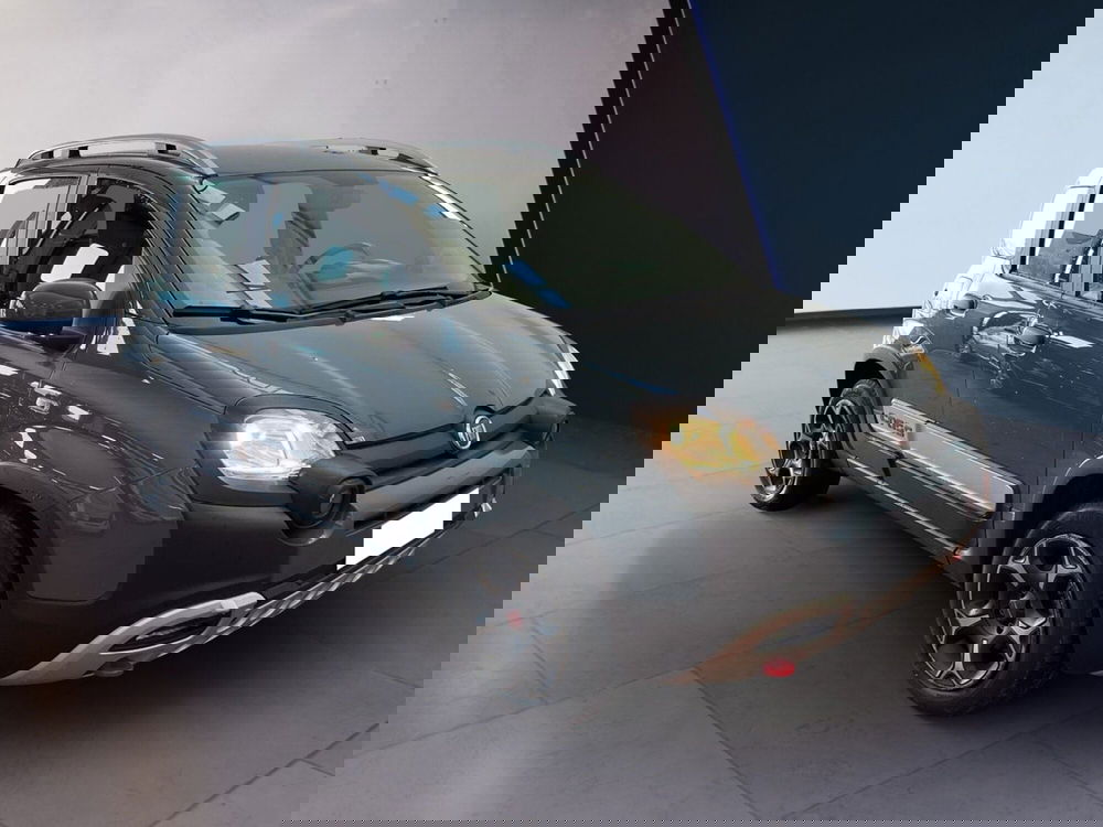 Fiat Panda Cross usata a Torino (2)