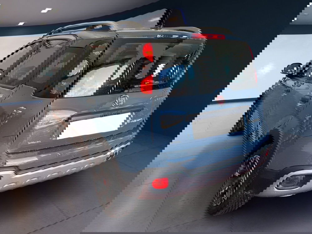 Fiat Panda Cross usata a Torino (4)