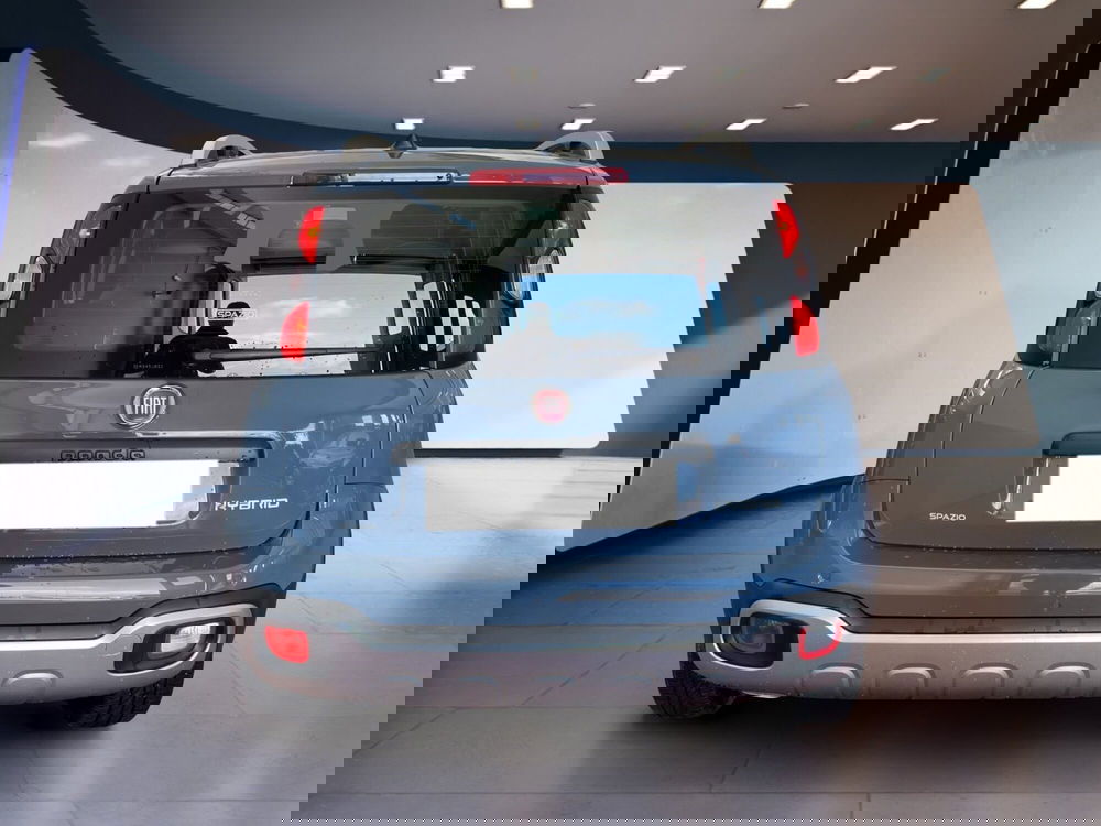 Fiat Panda Cross usata a Torino (5)