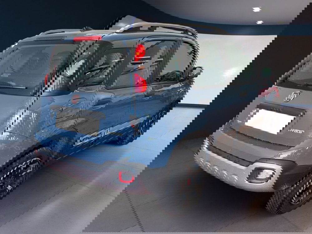 Fiat Panda Cross usata a Torino (6)