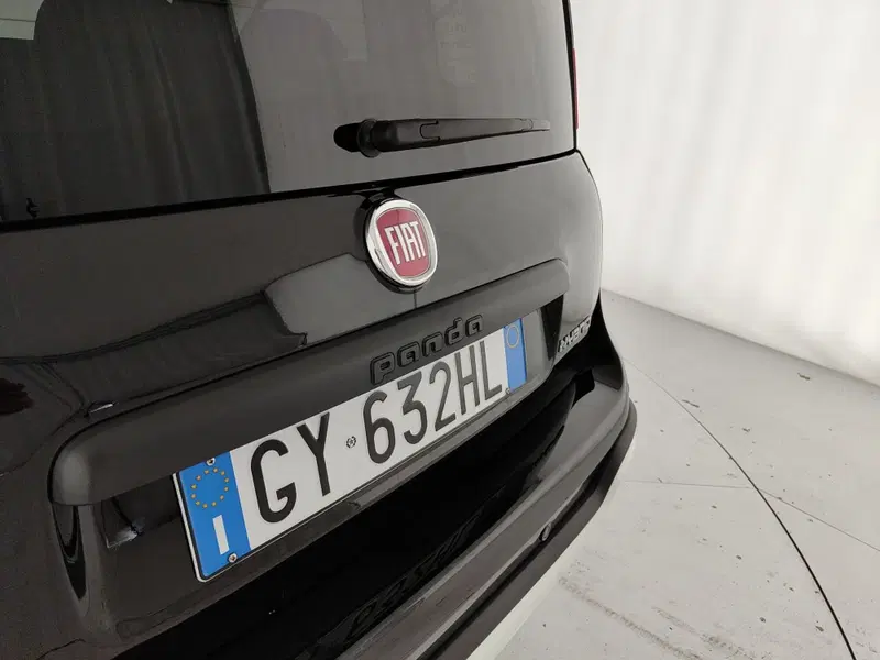 Fiat Panda Cross usata a Napoli (9)