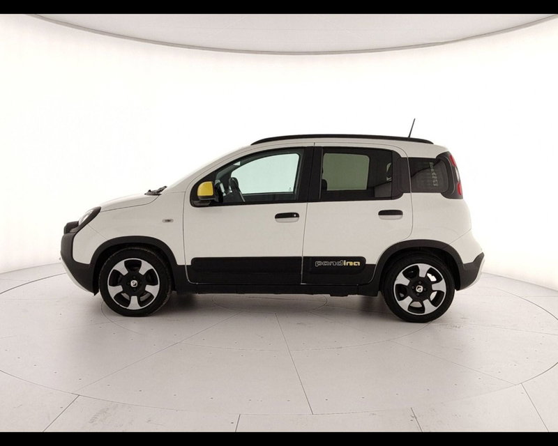 Fiat Pandina usata a Caserta (3)