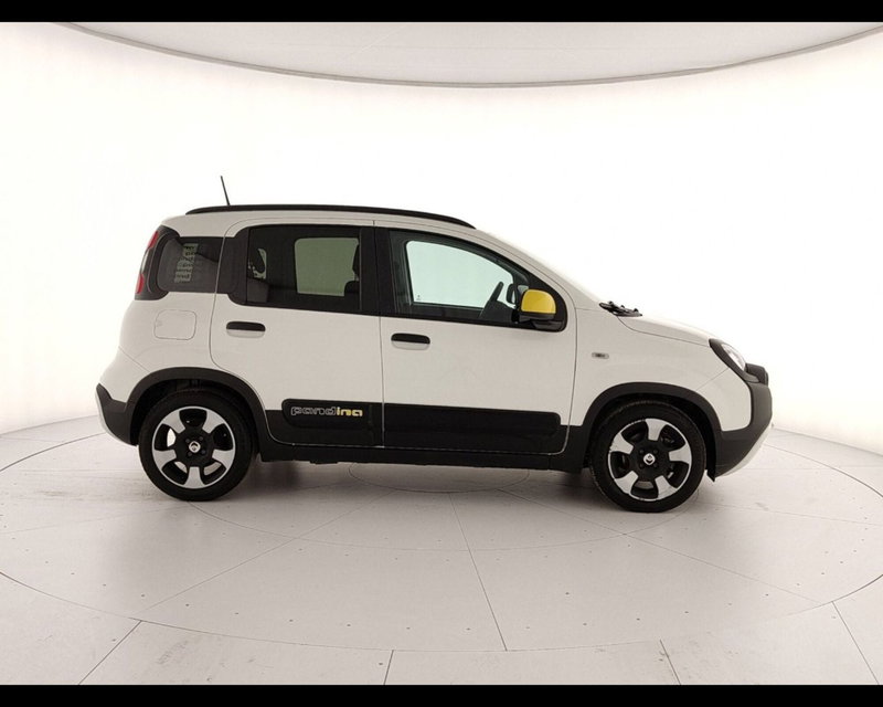 Fiat Pandina usata a Caserta (6)