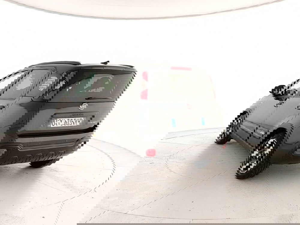 Fiat Panda Cross usata a Caserta (2)