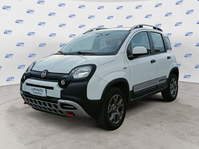 Fiat Panda Cross Cross 1.3 MJT S&amp;S 4x4 del 2014 usata a Prato