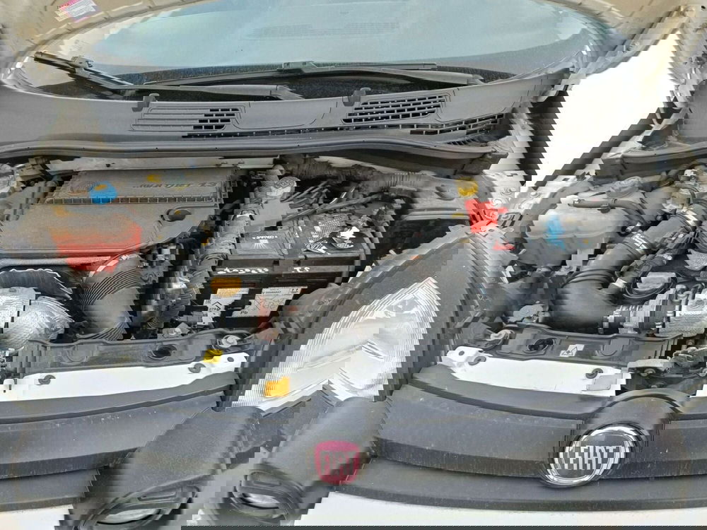 Fiat Panda Cross usata a Prato (13)